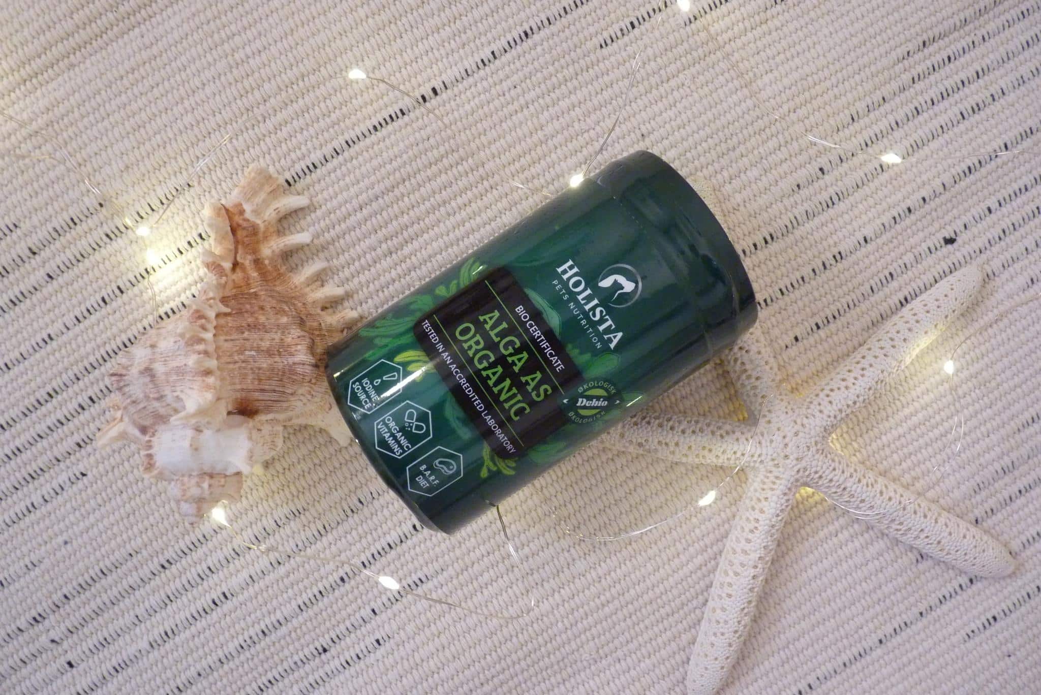 271988709 933661500857712 4083370628754955109 n