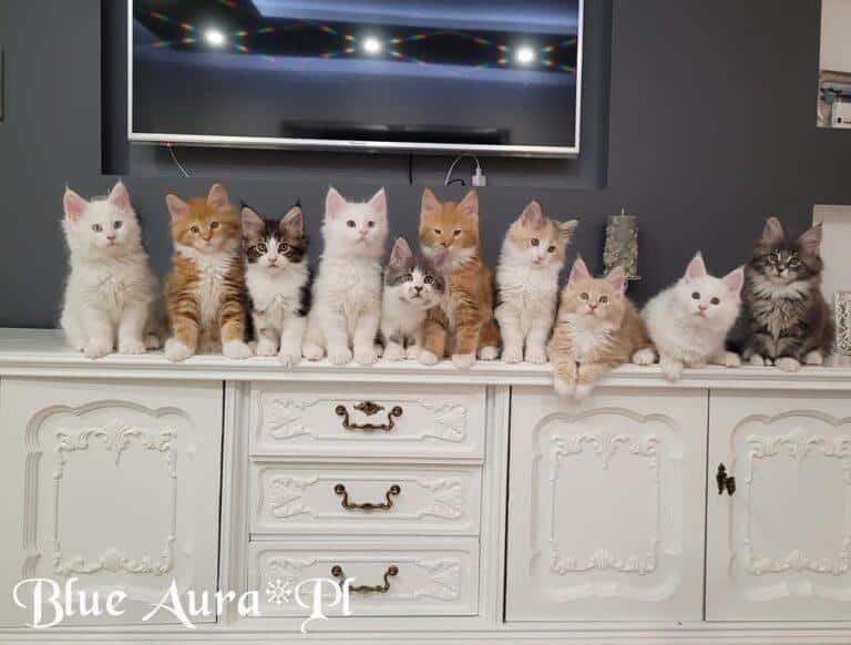 318076624 2285195294973968 2003864665254628007 n