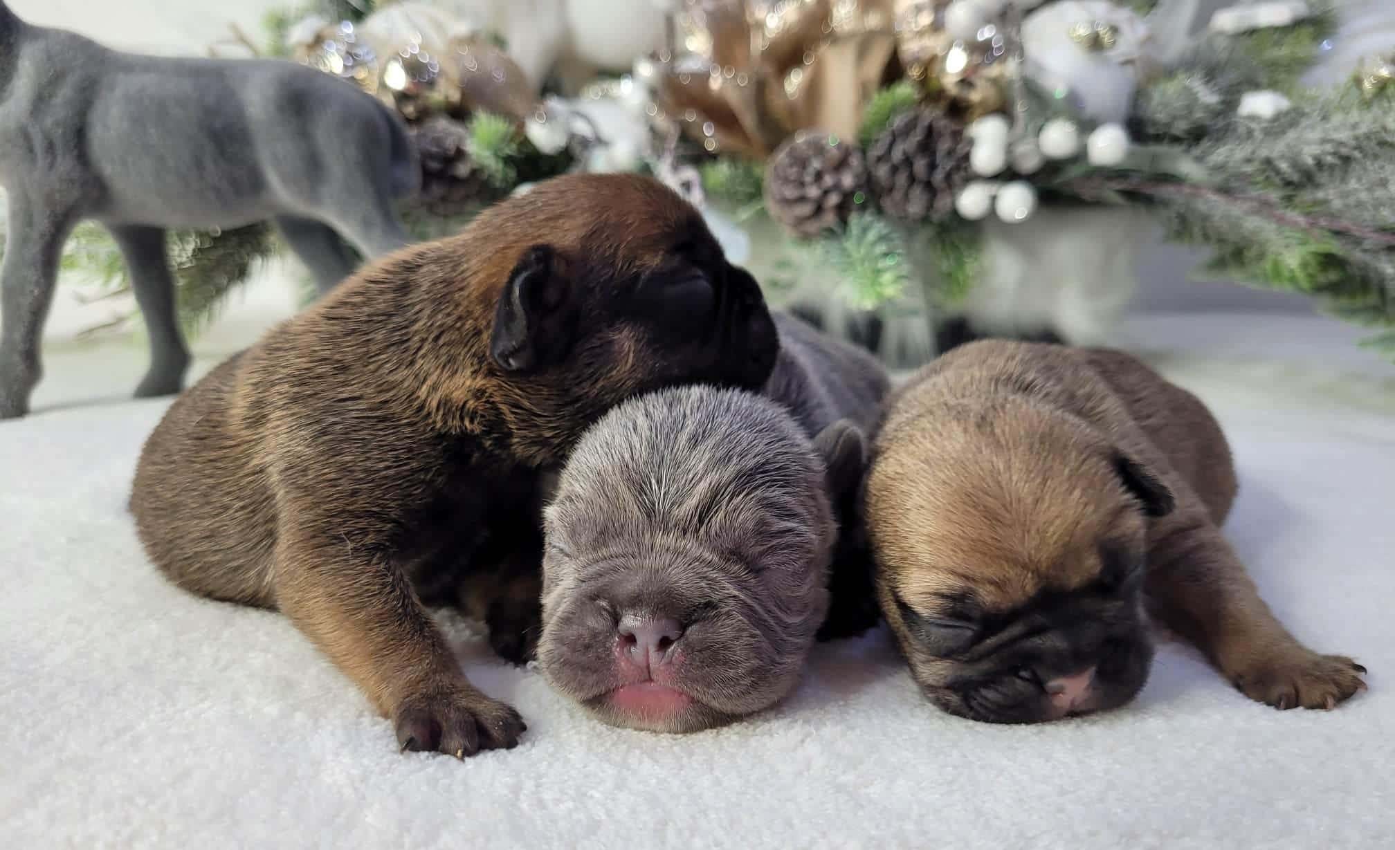 318616715 1258859531328931 8356568474526105298 n