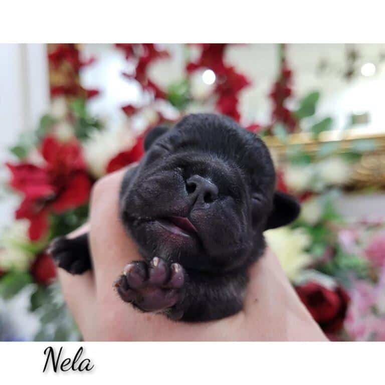 320715820 494173549491596 1856411821656759100 n