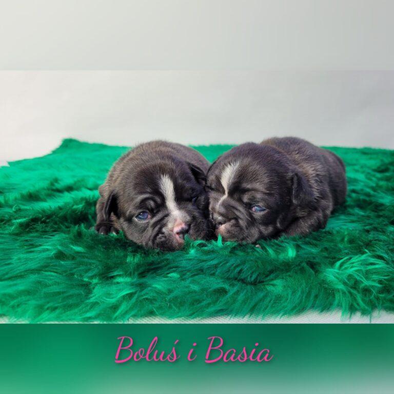 321563874 611863493962621 8023455987943598350 n e1672828071905