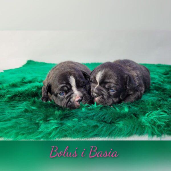 321563874 611863493962621 8023455987943598350 n e1672828071905