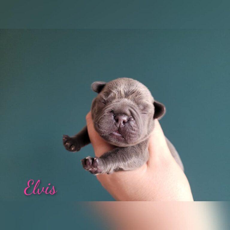 321810661 1728127547582342 6391260026421335904 n