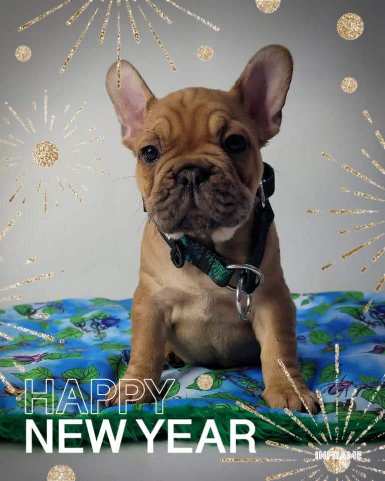 Witamy Nowy 2023 Rok.