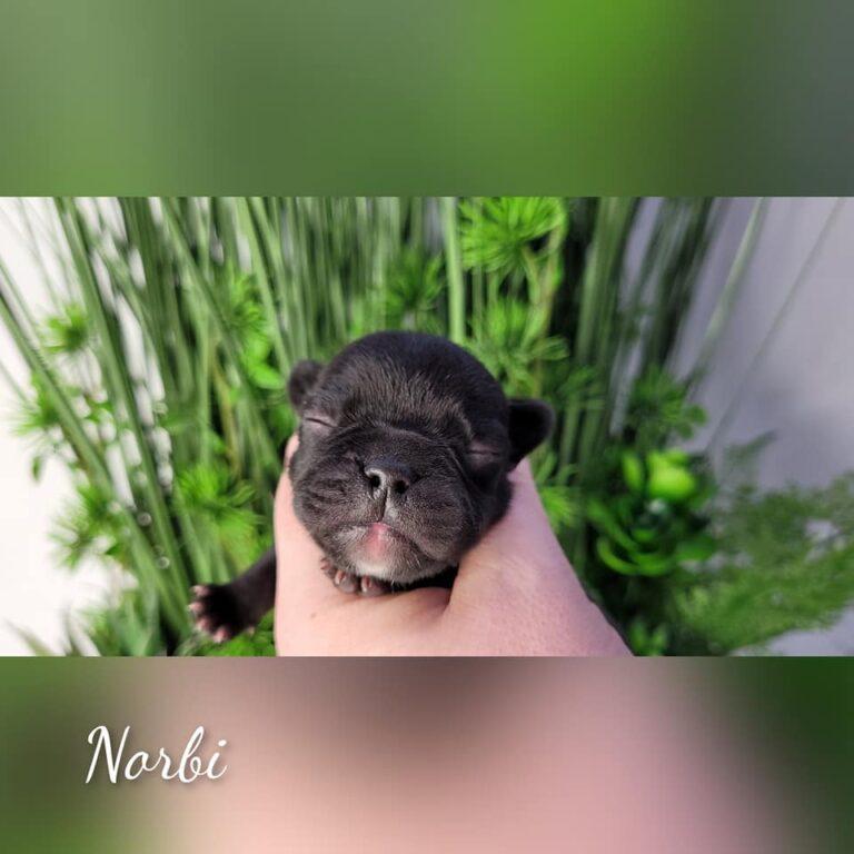 322020206 673778337568581 7138542502448129897 n 1