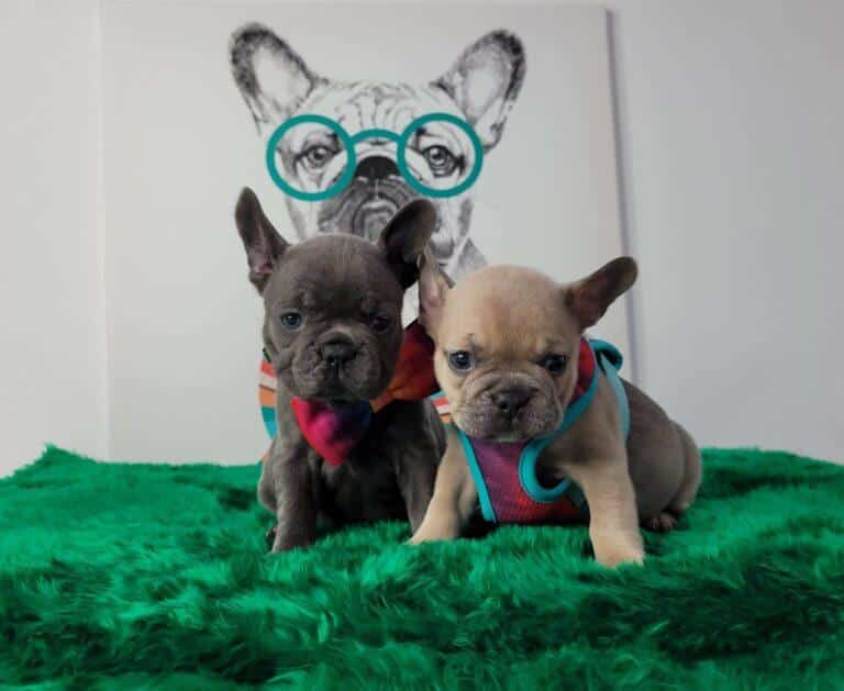 323997562 5955619634461561 2452992783879407706 n