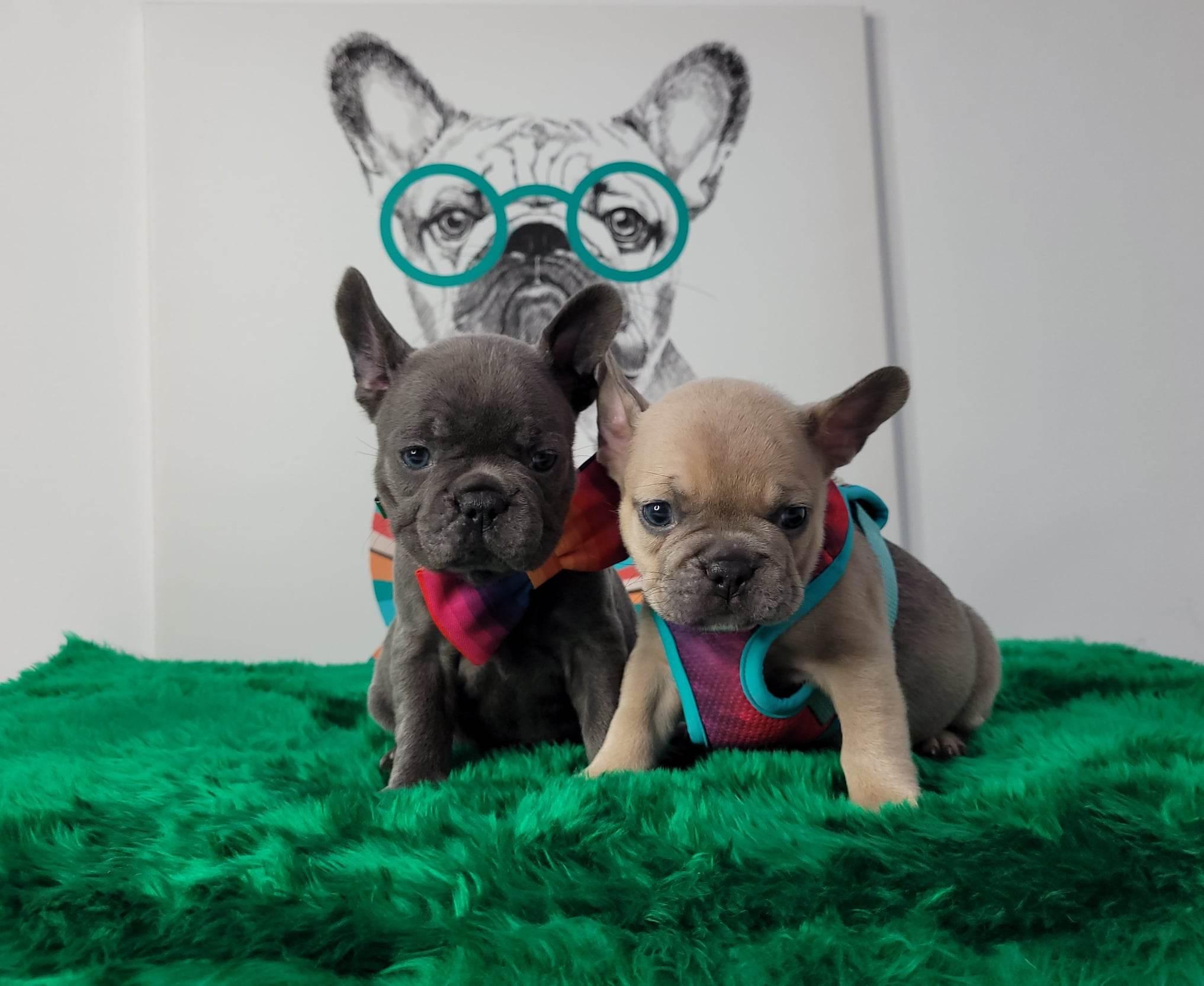 323997562 5955619634461561 2452992783879407706 n