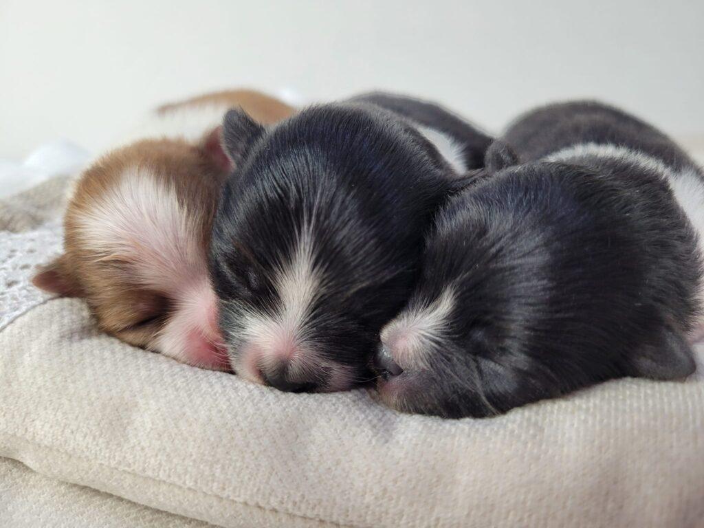 324128439 925163332196531 56784779721637179 n