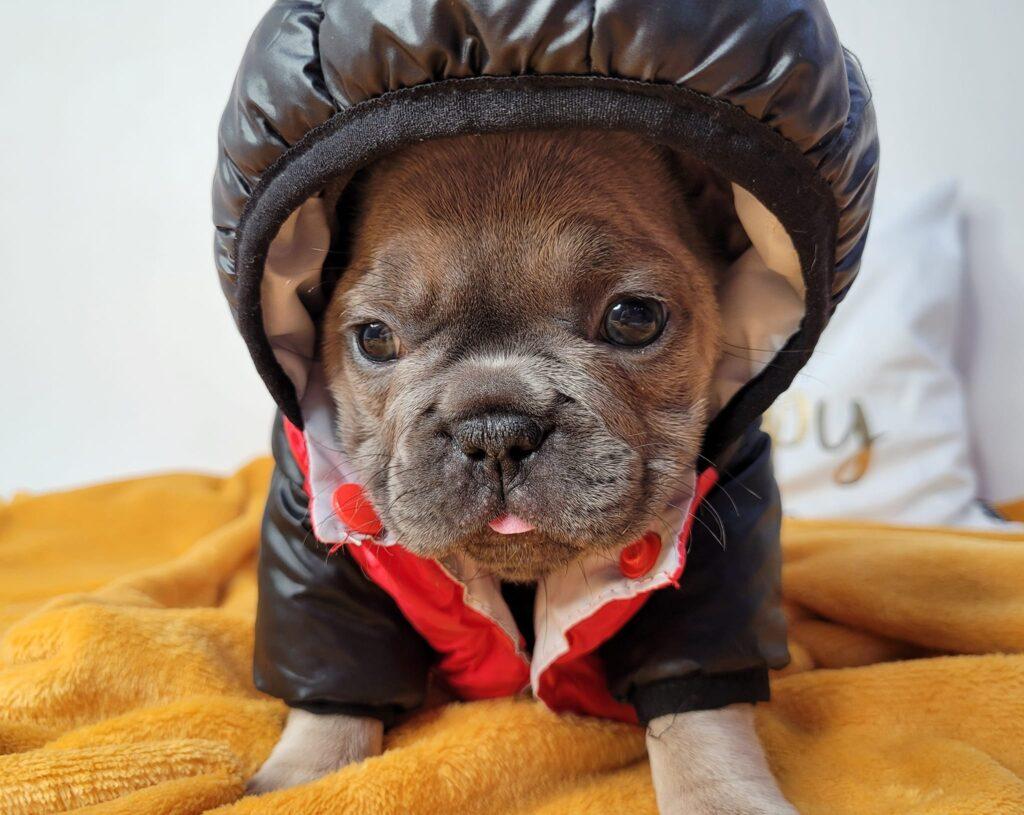 330784250 665092268752250 3853058906634449100 n