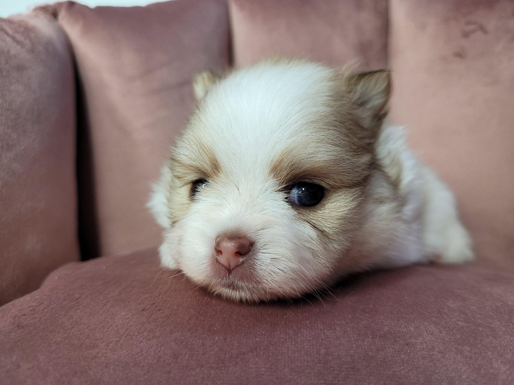 331063791 1263918334558965 1192803233550548713 n