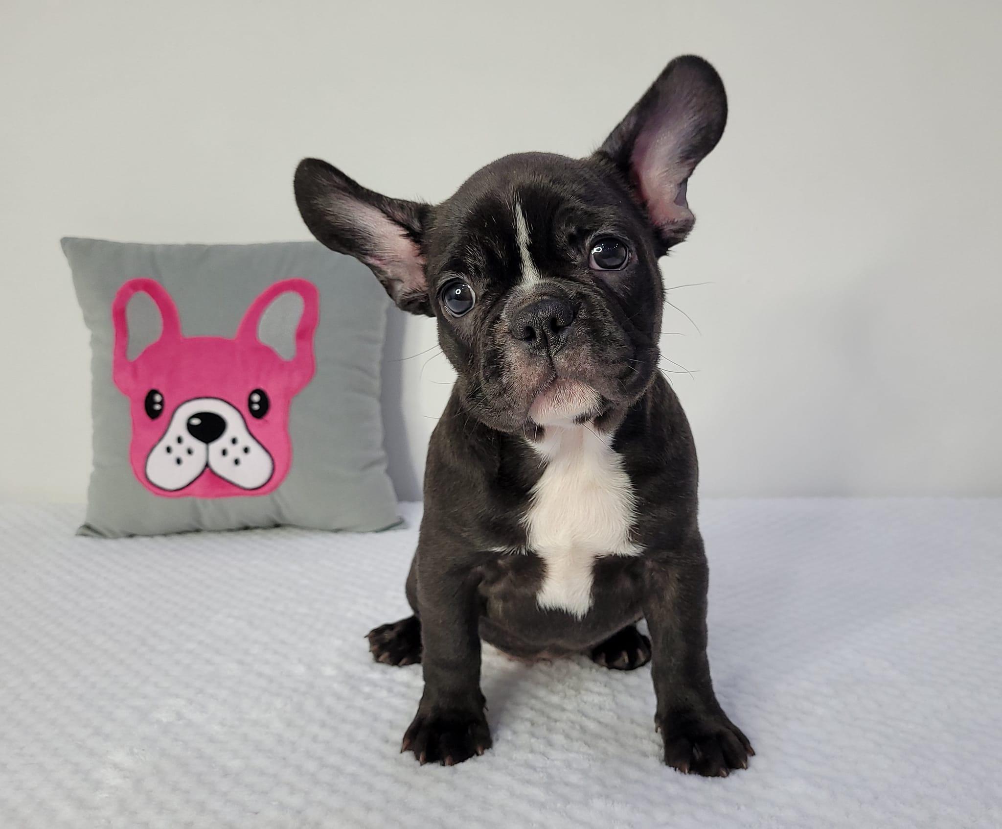 331423754 741770940637153 7564139727176212562 n