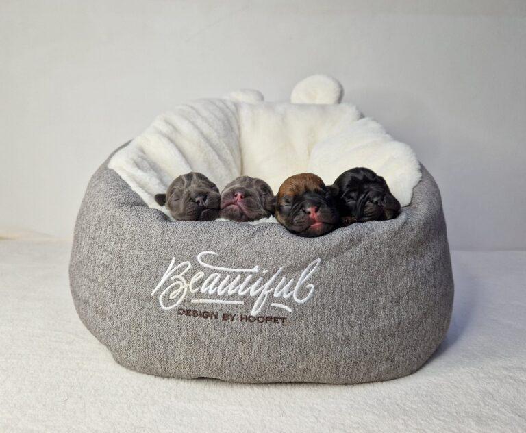 331759232 498553838945987 5543136145773334791 n