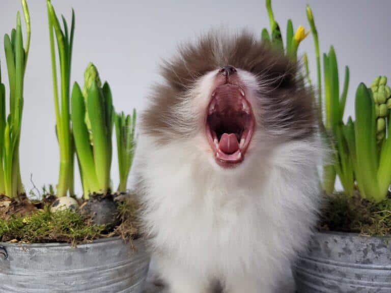 332083606 599752791623919 4055016325538083684 n