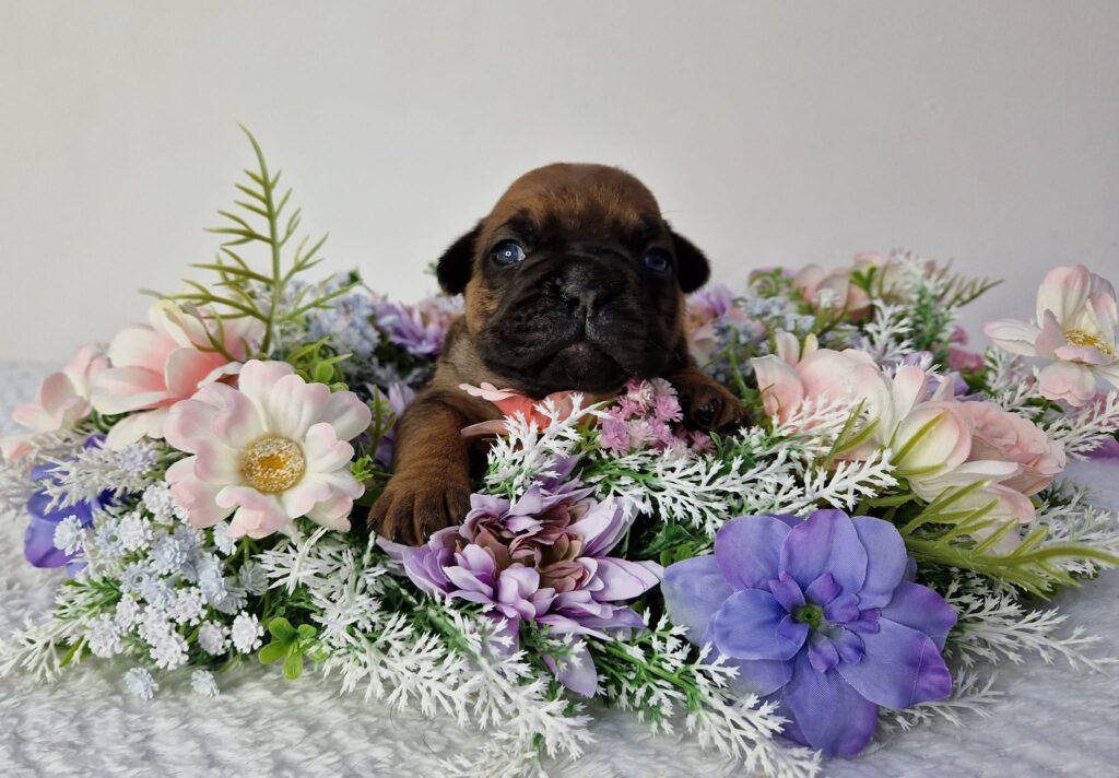 336997967 576559094417169 3953020316545910266 n