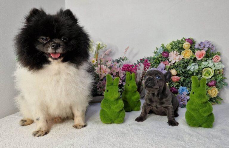 336660430 773534134139296 4092523544256278703 n