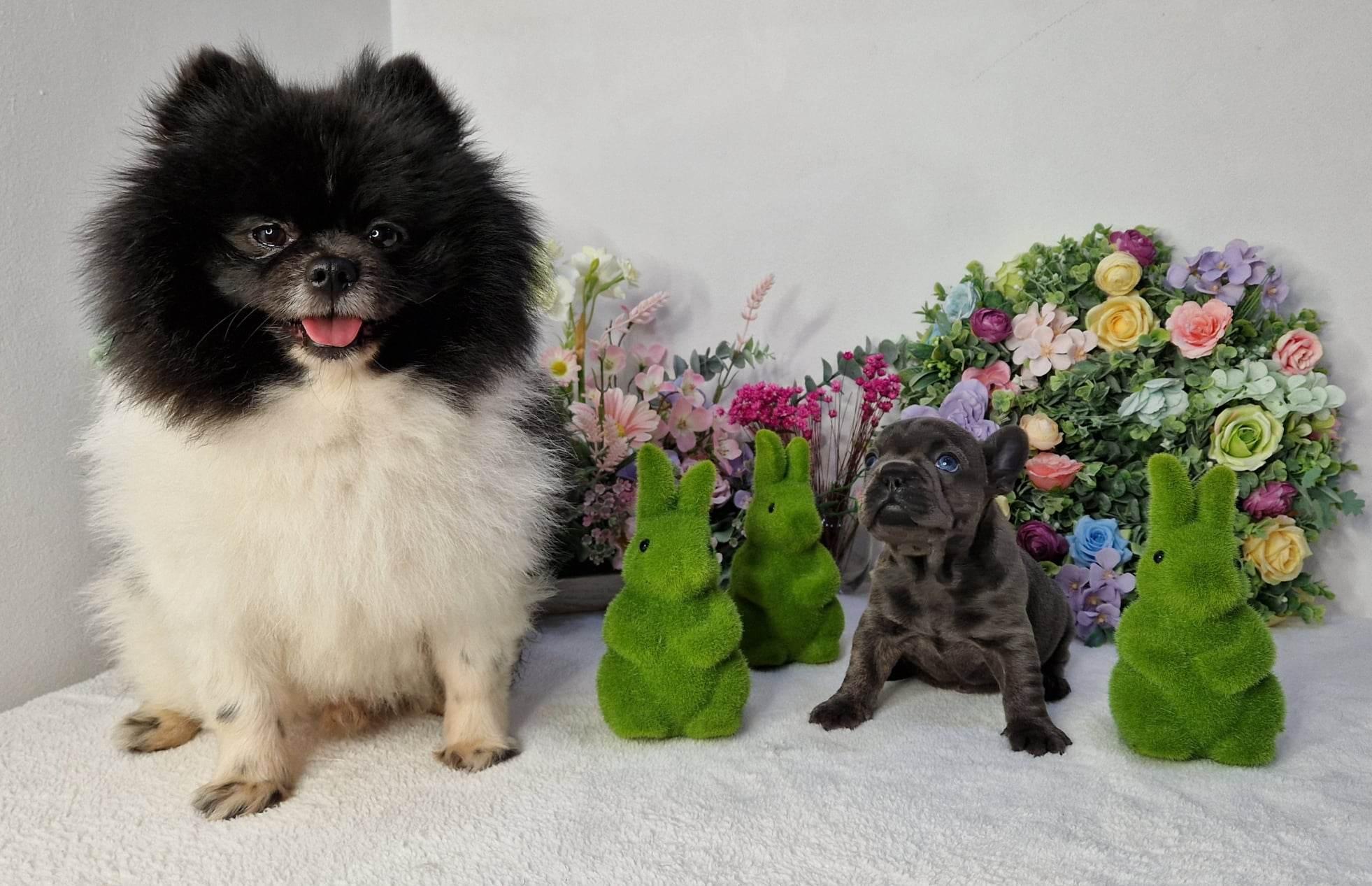 336660430 773534134139296 4092523544256278703 n