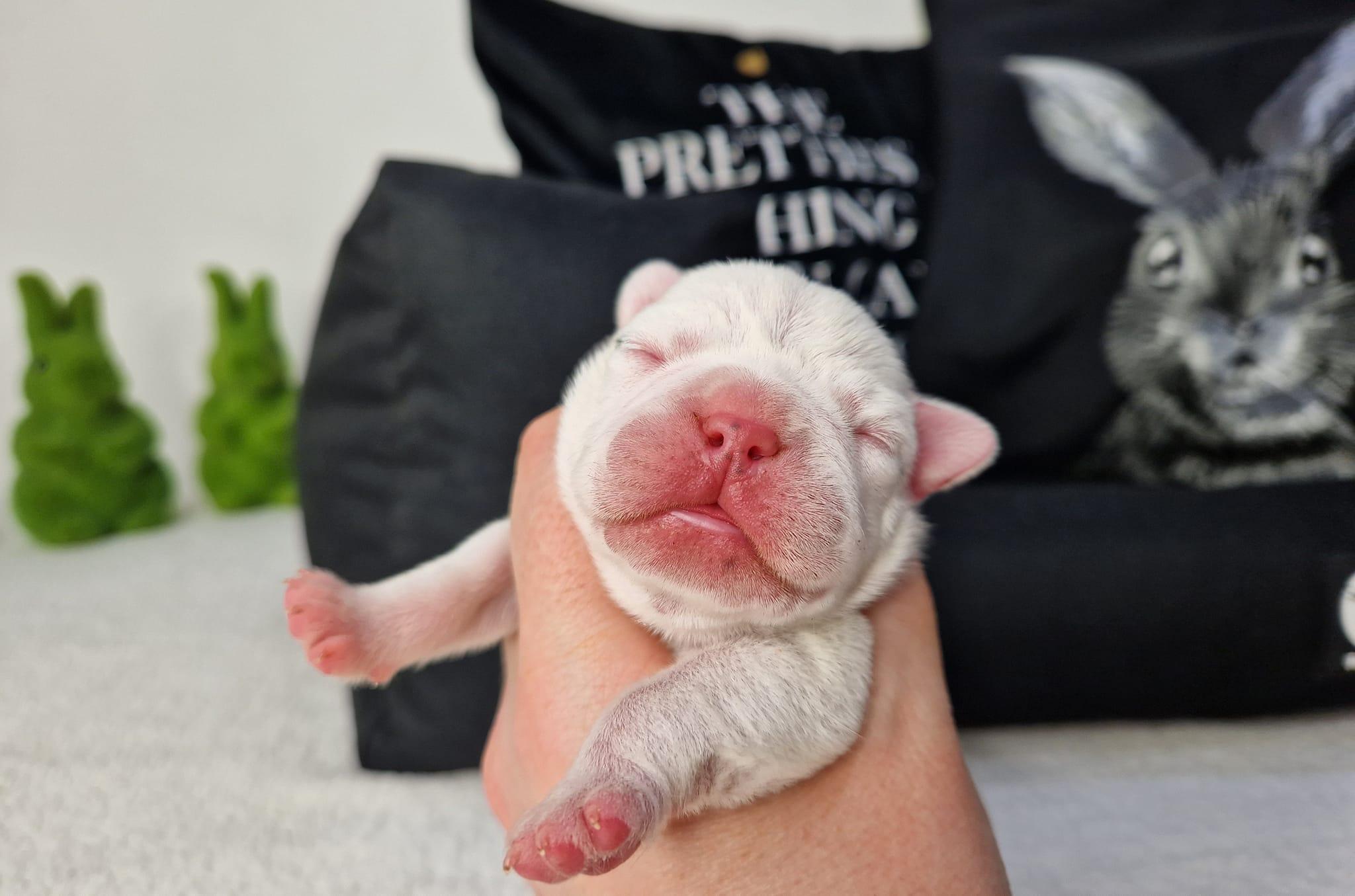 339122279 760089169063415 906604453802088266 n