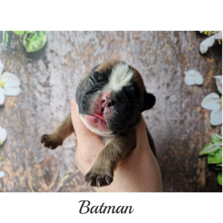 InFrame 1681457409337