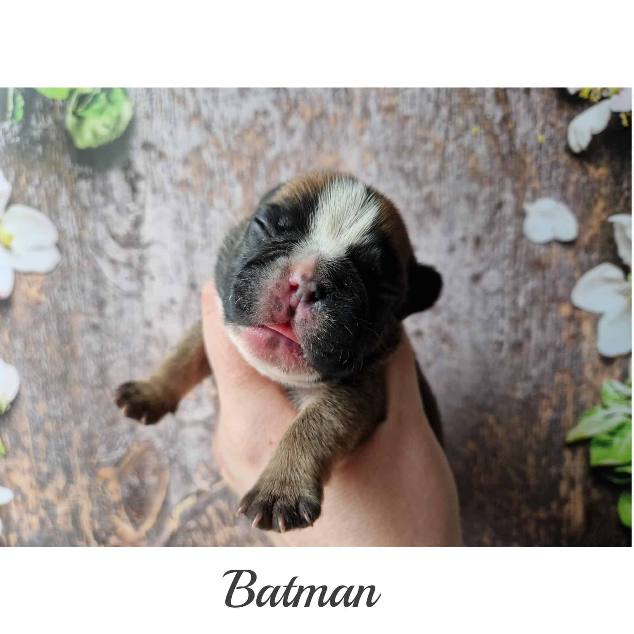 InFrame 1681457409337