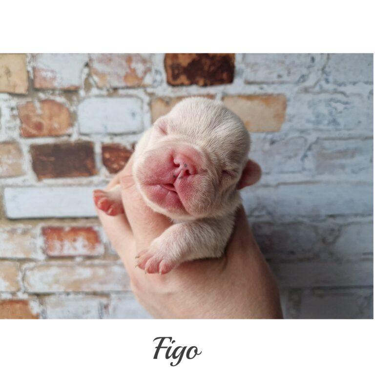 InFrame 1681467491864