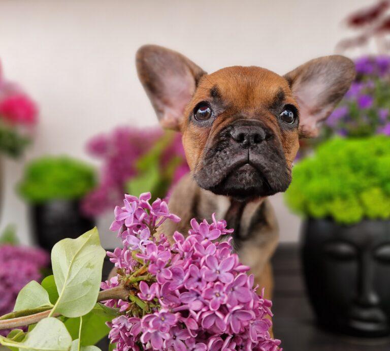 20230507 125226 scaled