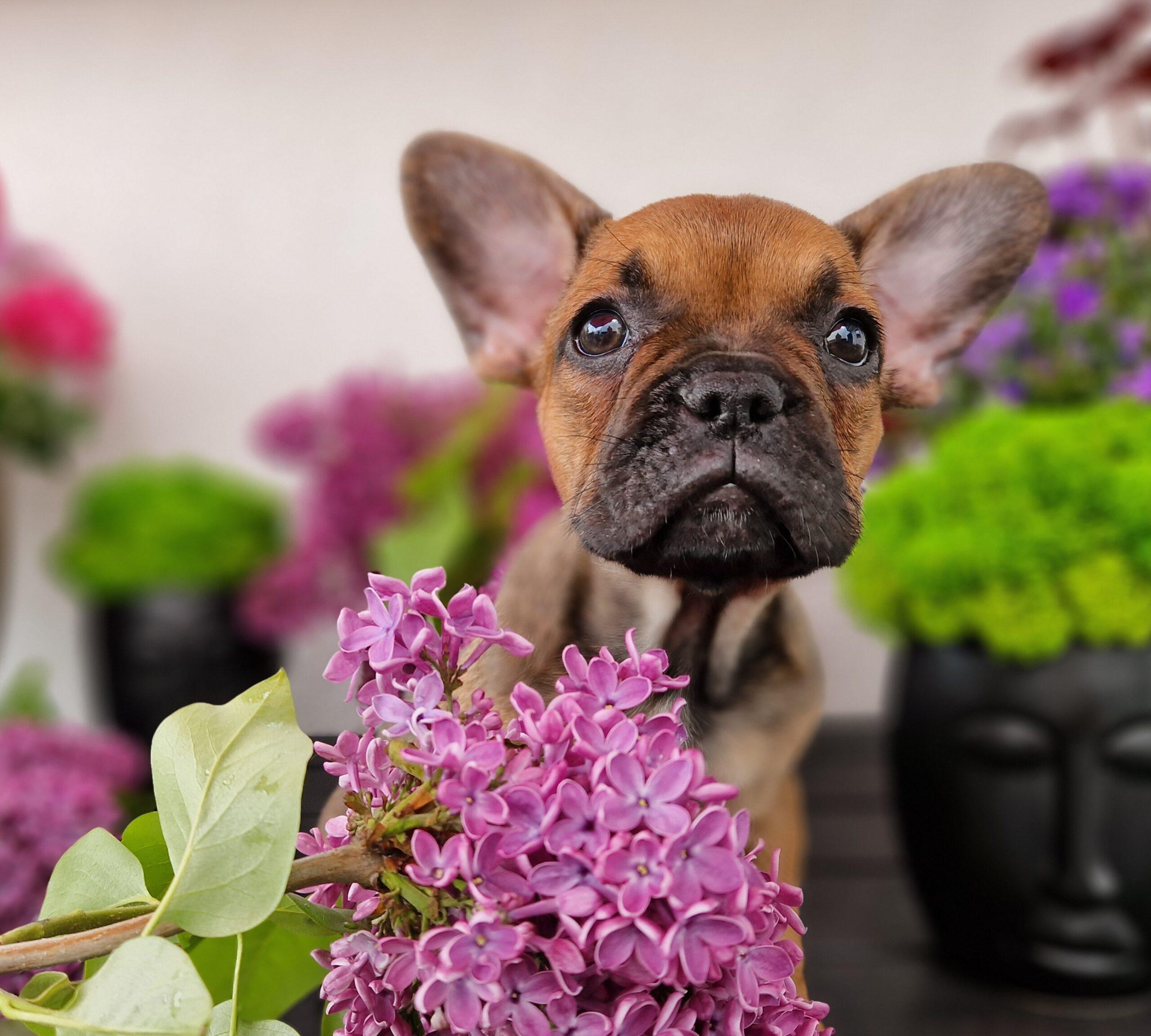 20230507 125226 scaled