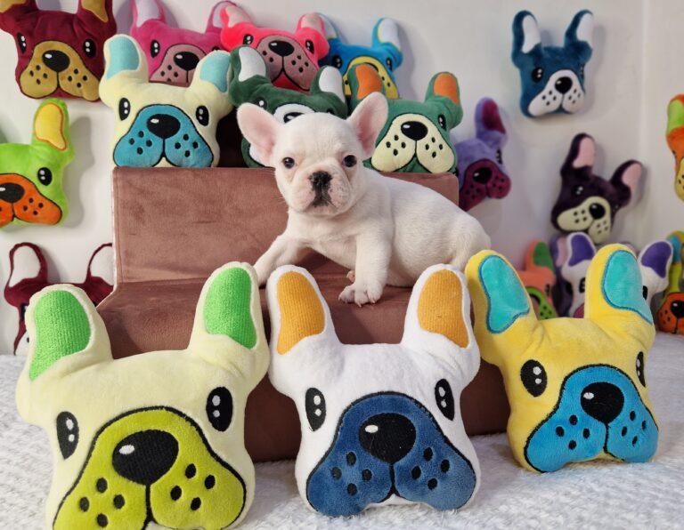 20230523 073854 scaled