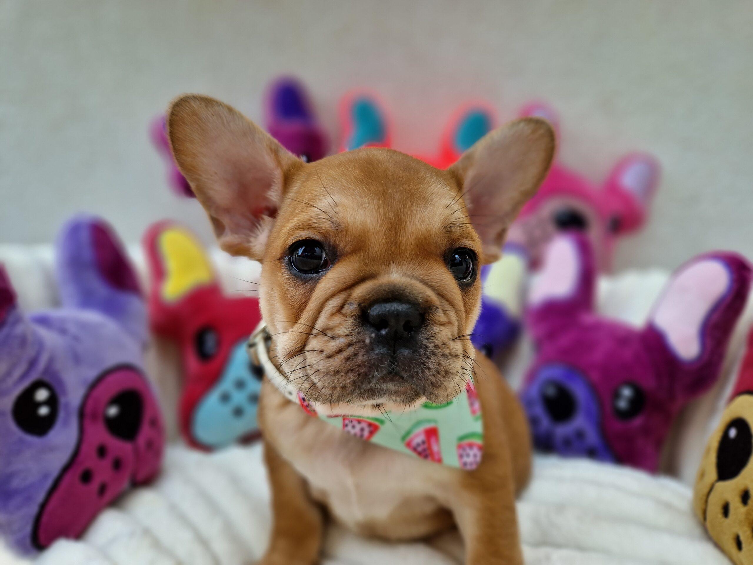 20230528 133608 scaled