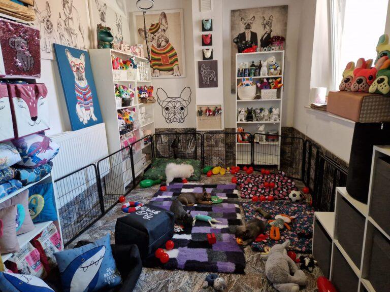 344551459 6418598511485777 6101245765361755415 n