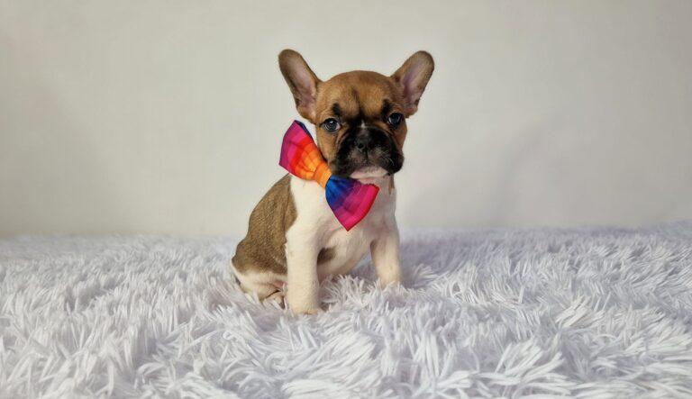 347099924 142213678836474 510405940297282003 n