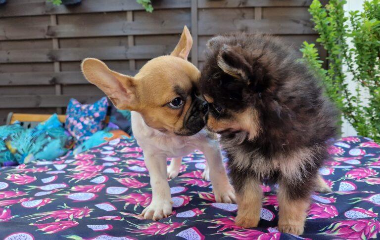 347383450 3596451533909052 4687901694736905464 n