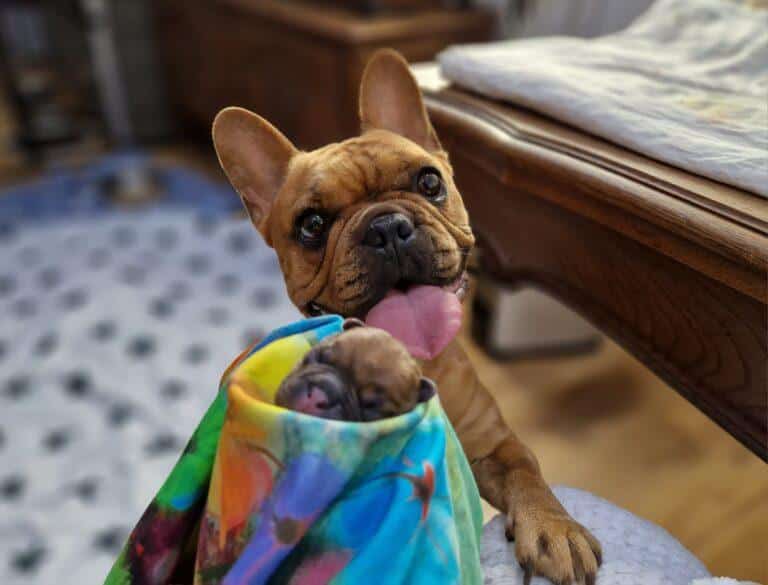 347384102 3451148451807416 8235767352871770449 n