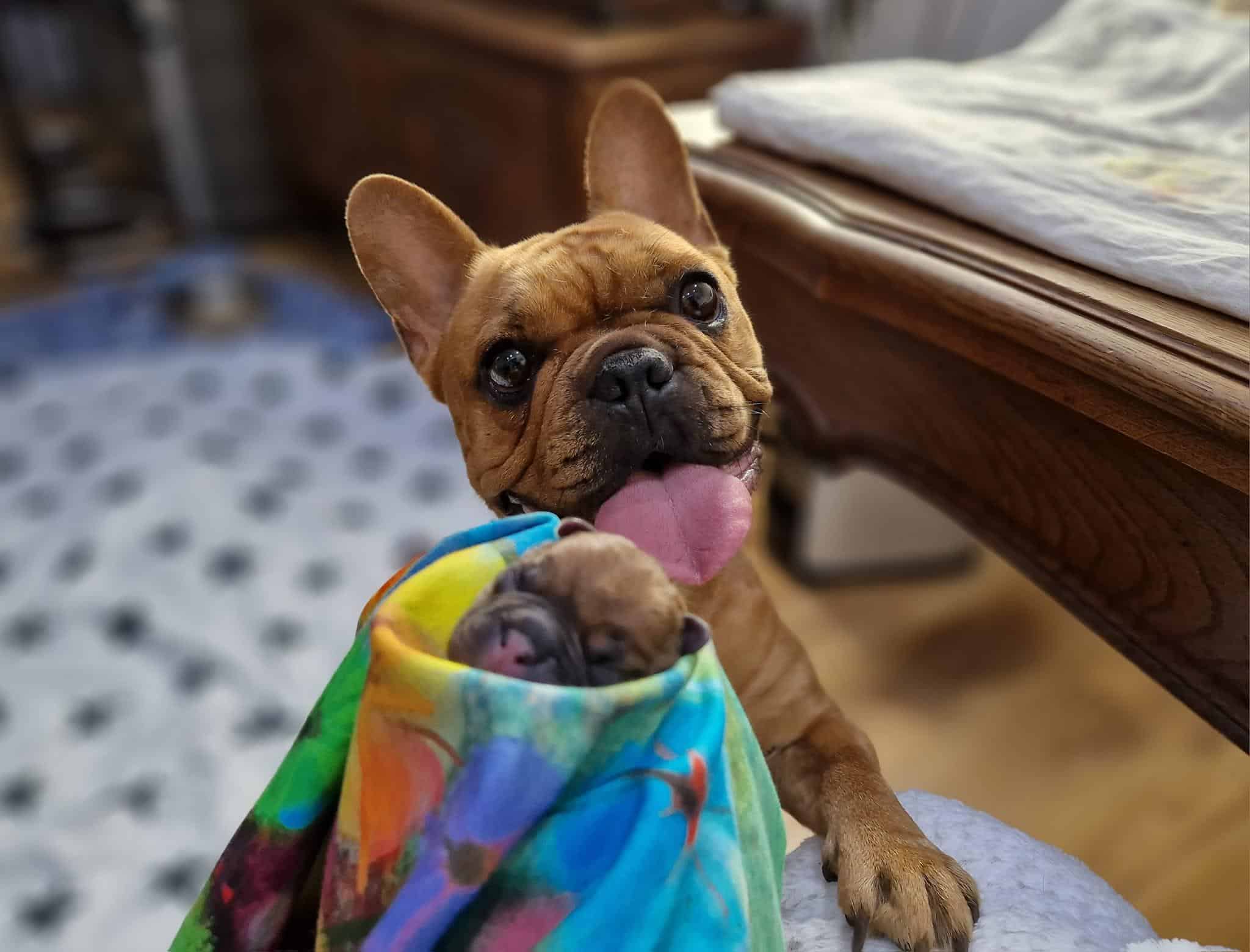 347384102 3451148451807416 8235767352871770449 n