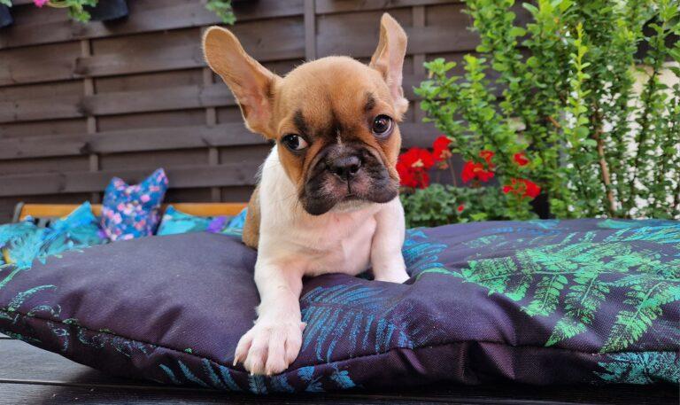 347407618 242428155203223 2087077396687155269 n