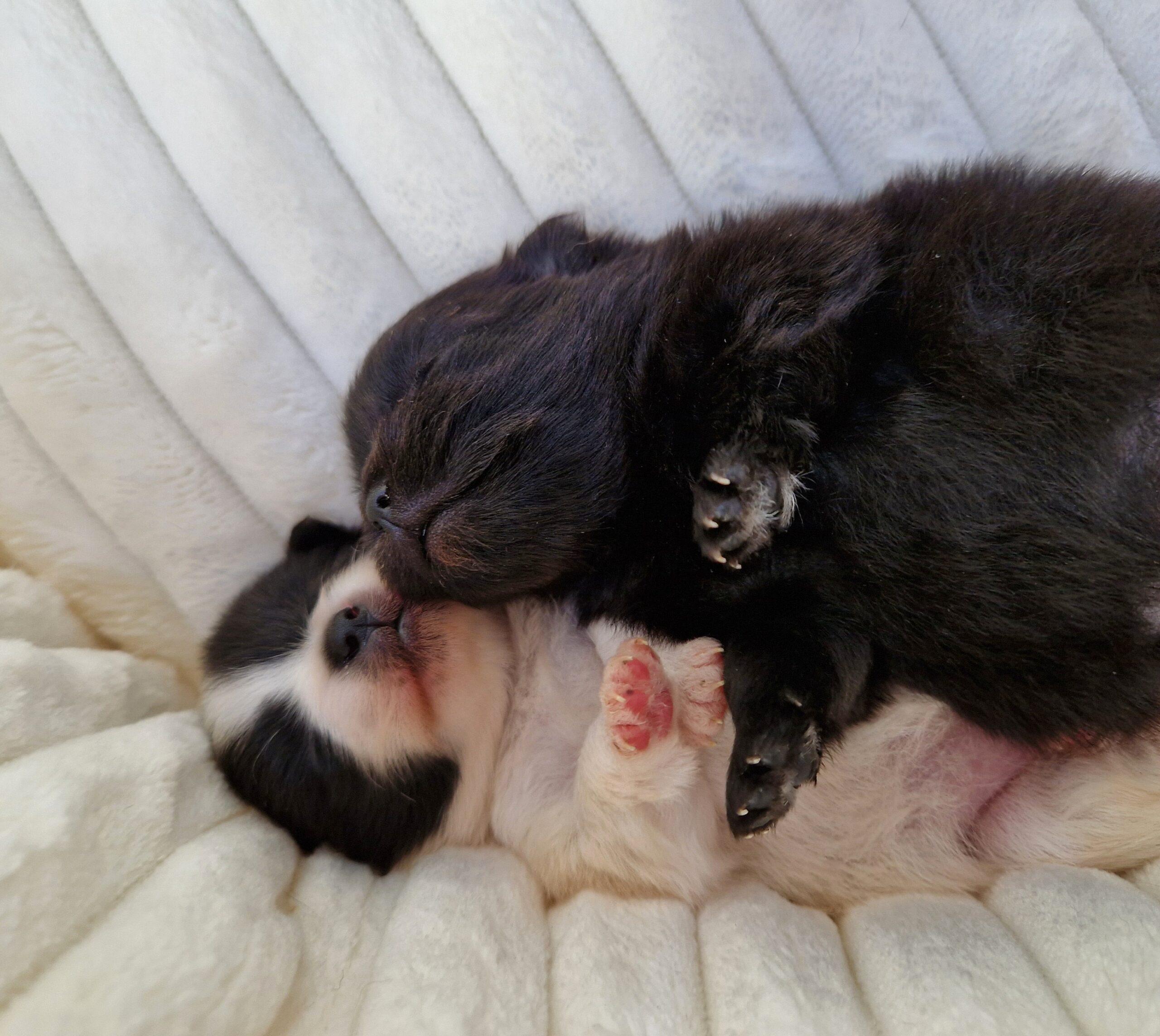 20230705 094200 scaled