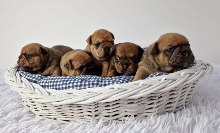 20230713 081349 008 saved scaled