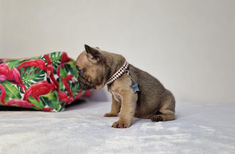 20230720 083108 scaled