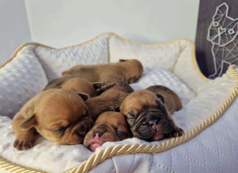 20230720 092709 002 saved scaled