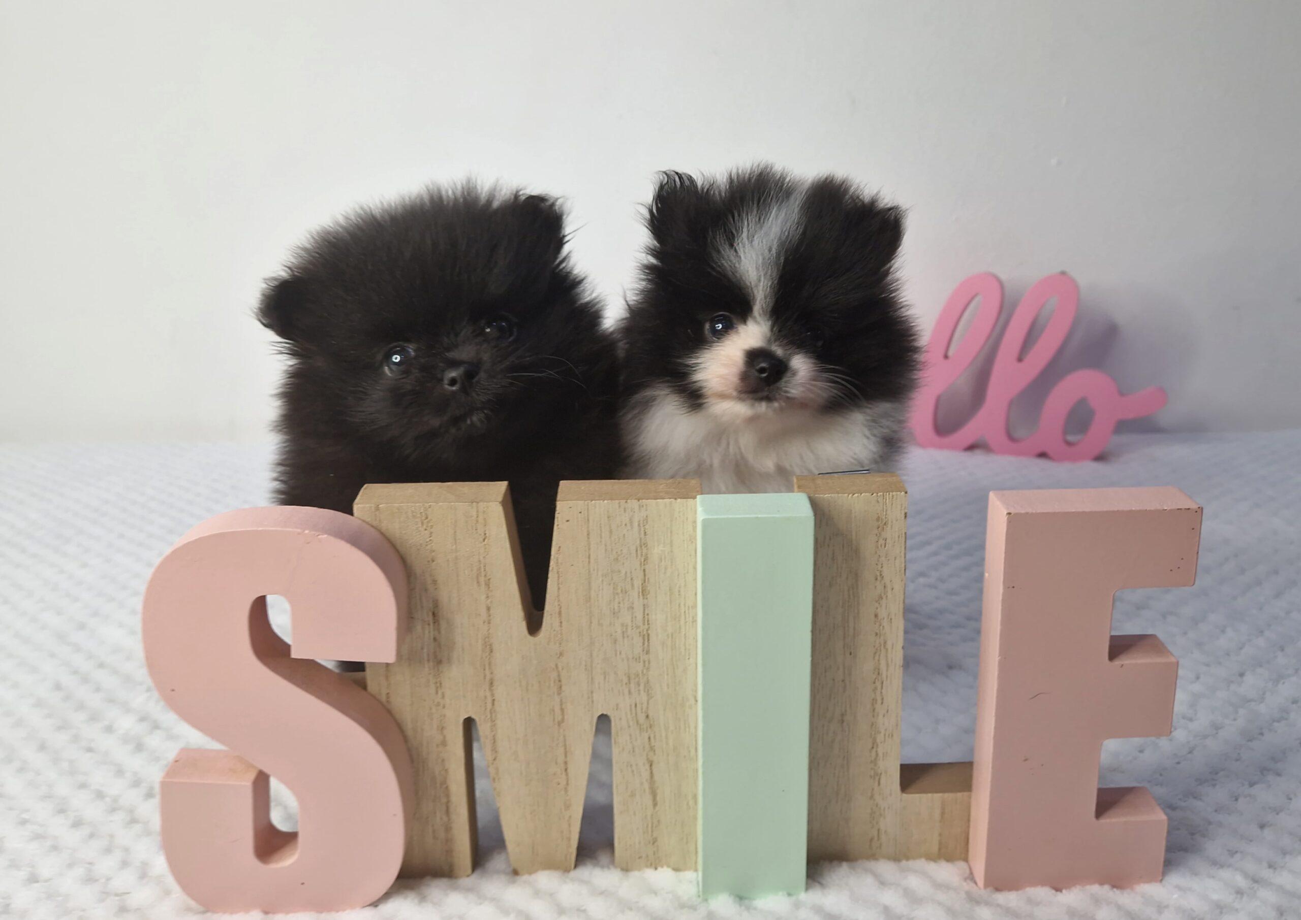 20230810 064526 023 saved scaled