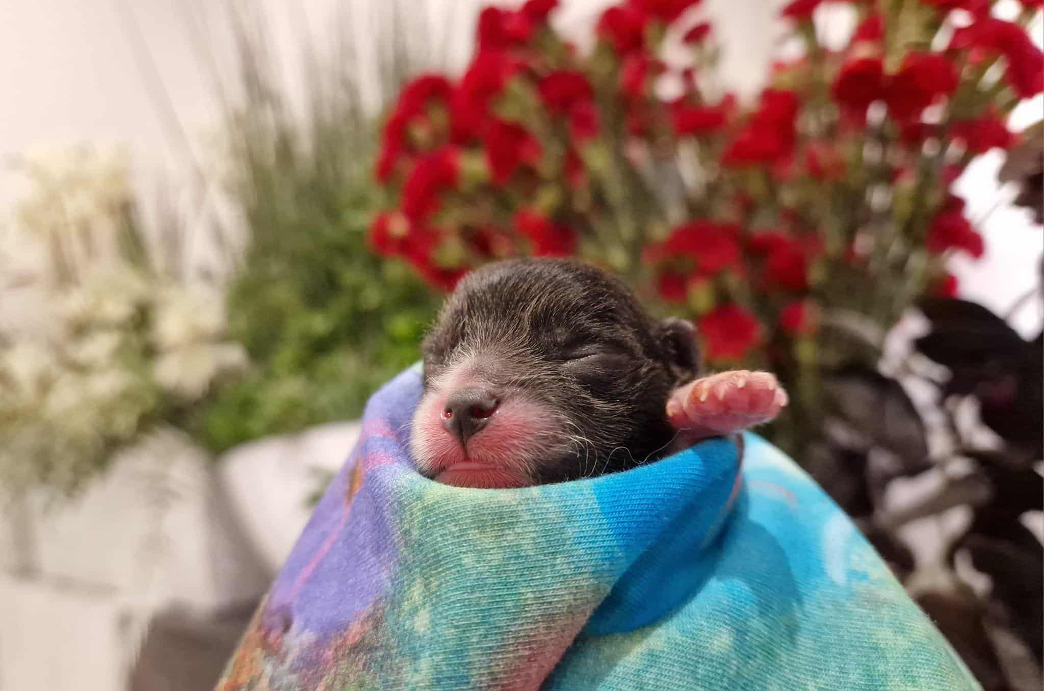 364146839 3475821826006745 425000757470442902 n