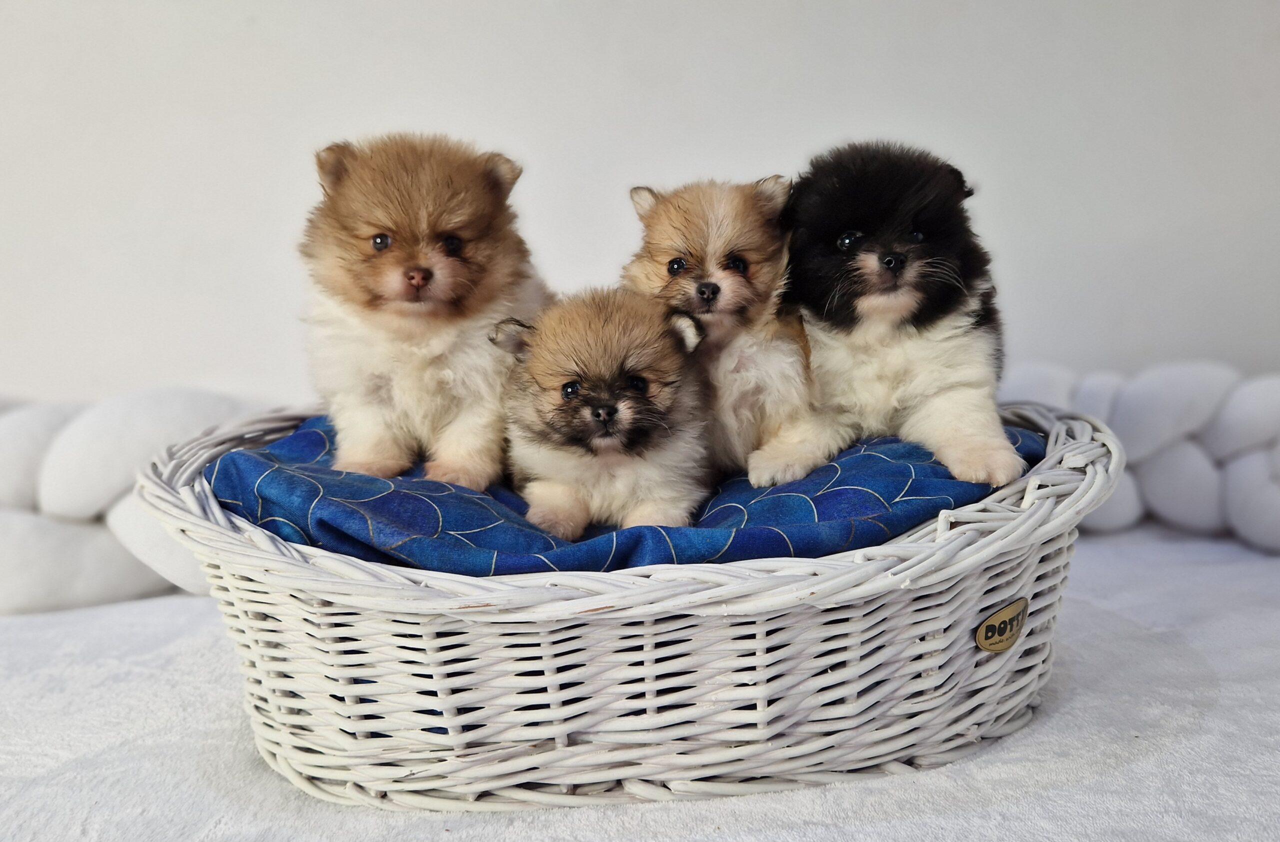 20230906 112126 scaled