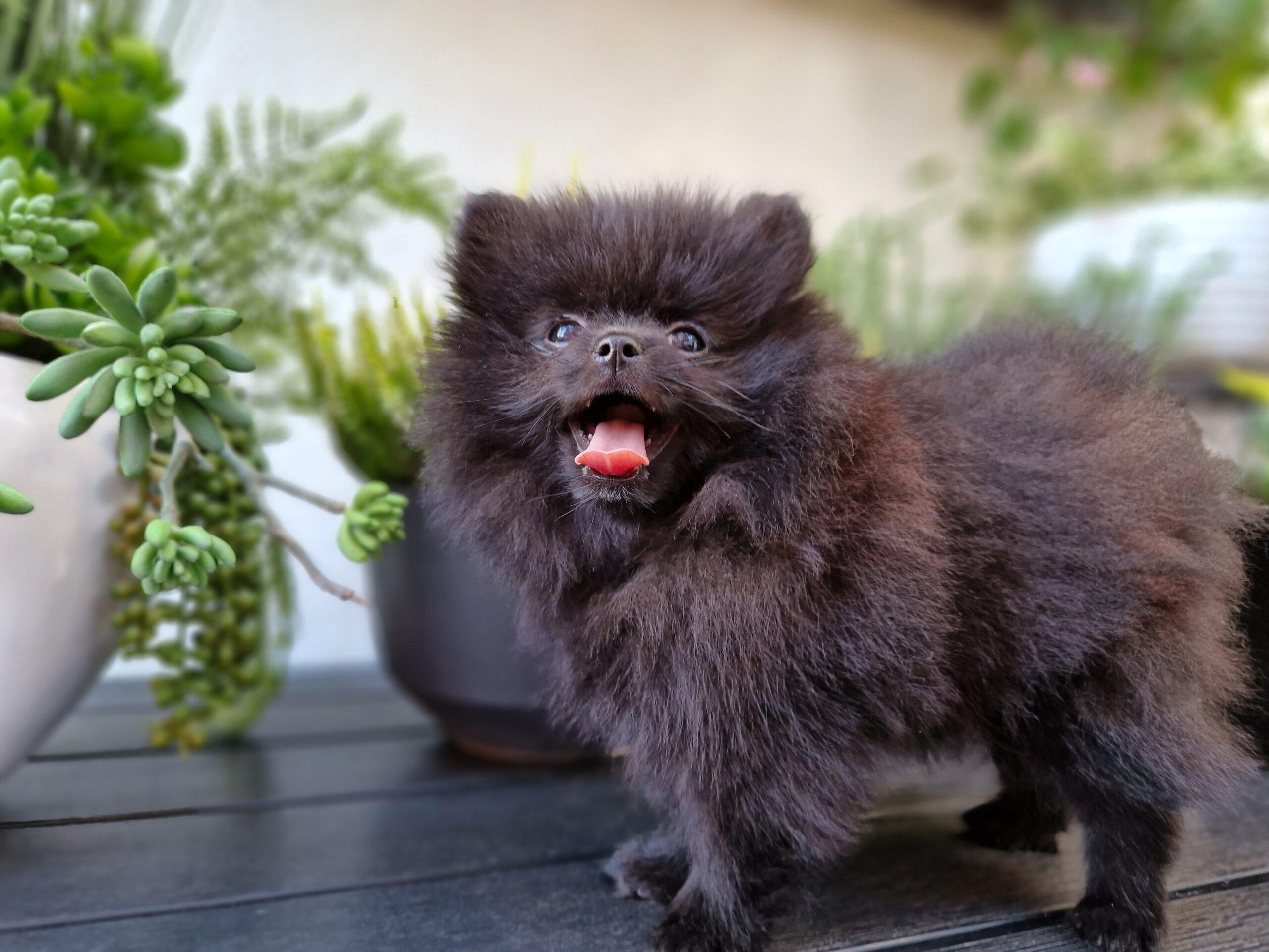 20230906 152939 scaled