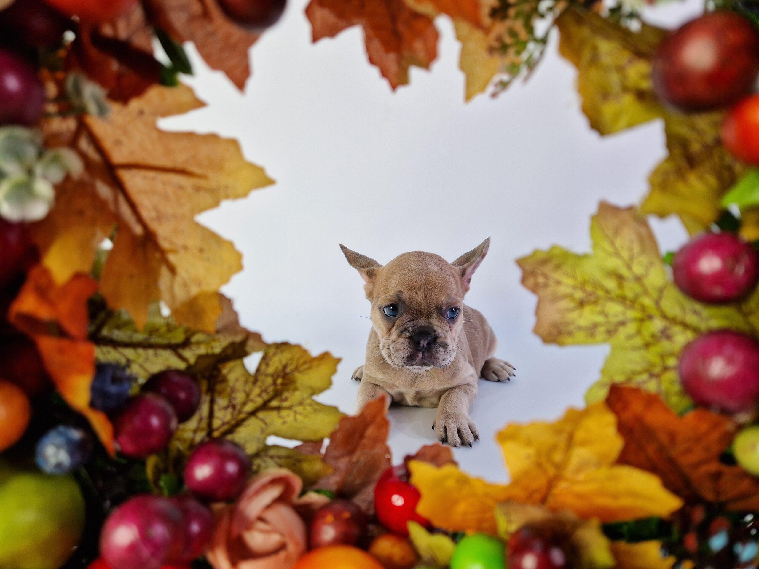 20231013 054845 scaled