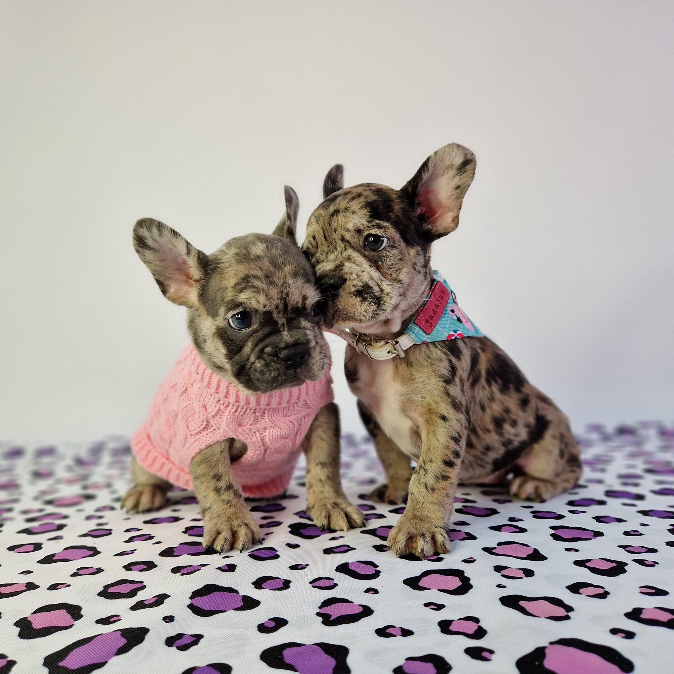 20231021 114602 resized scaled