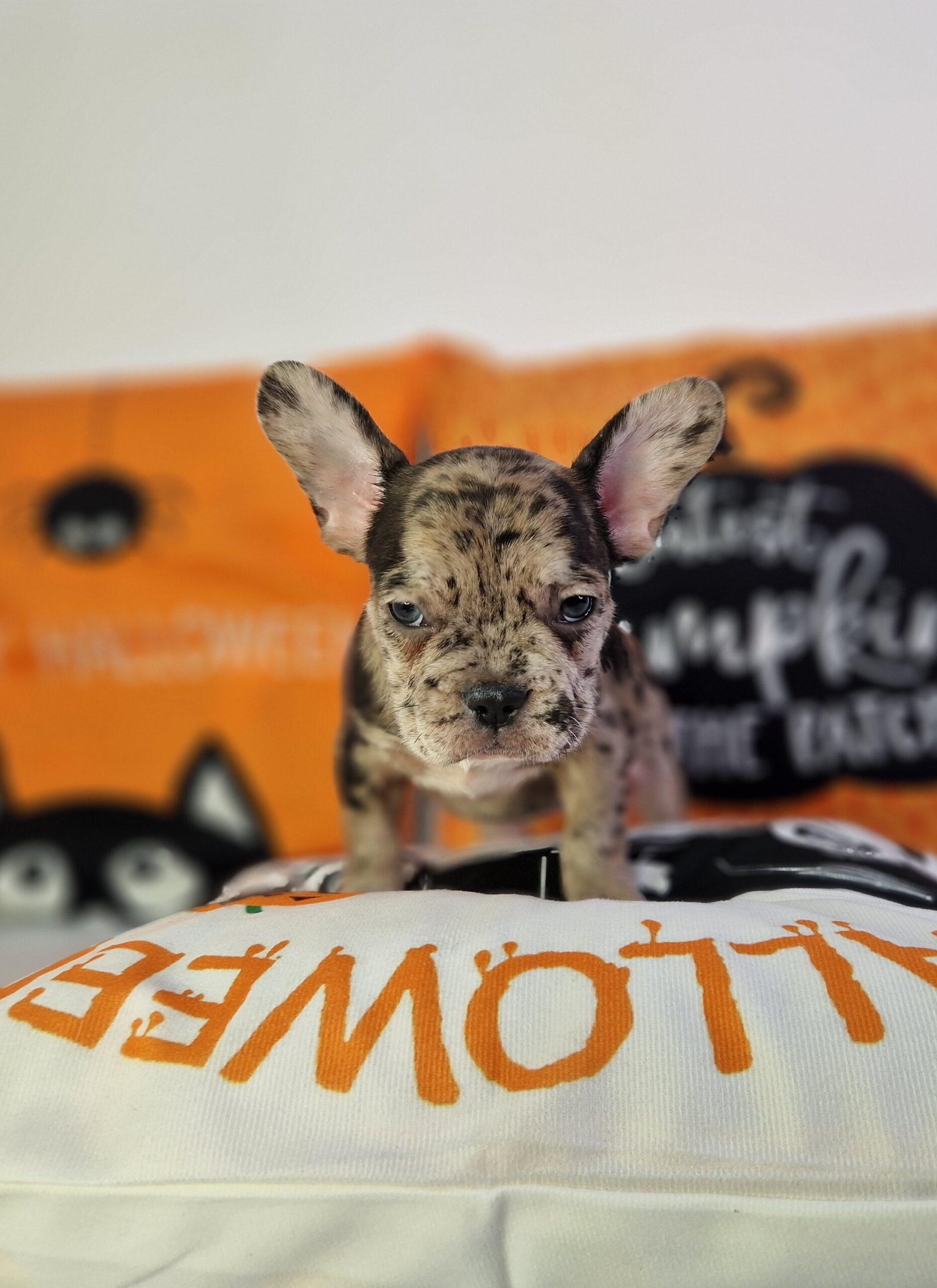 20231029 092808 resized scaled