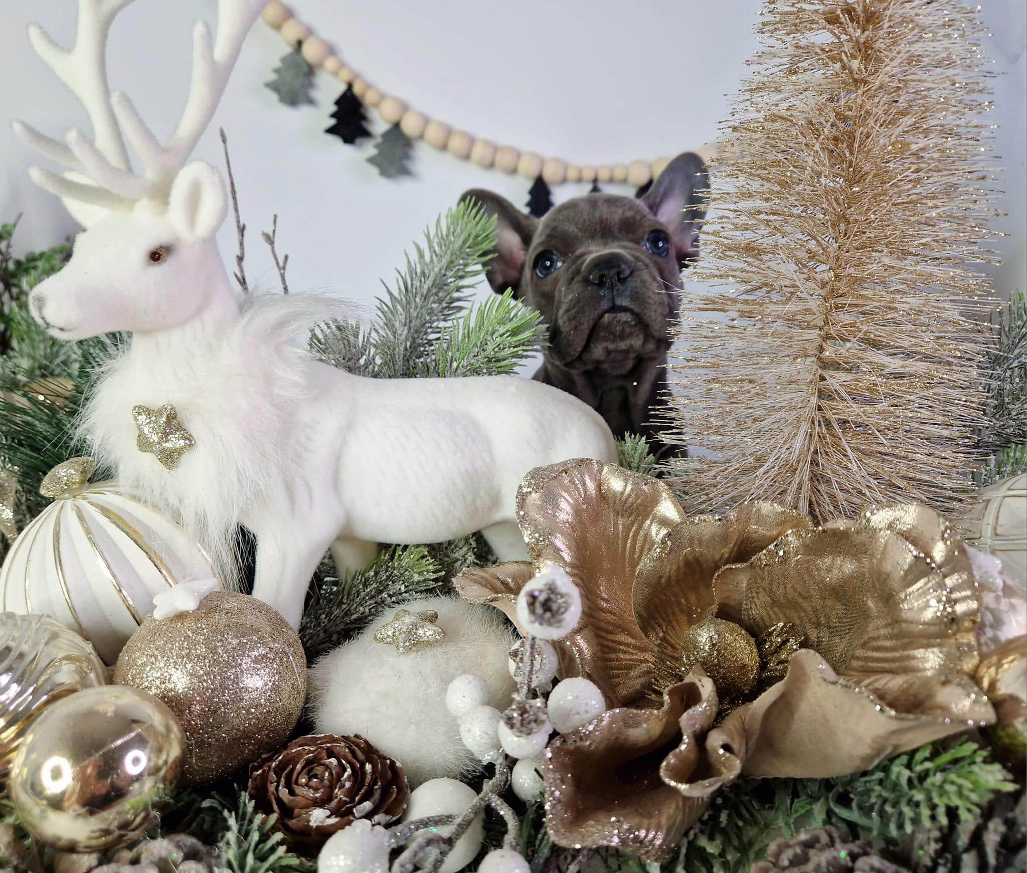 407435139 339177828861588 4325443611816225556 n