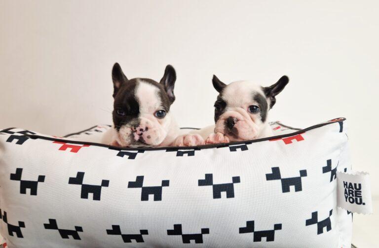 20240127 113027 002 saved scaled