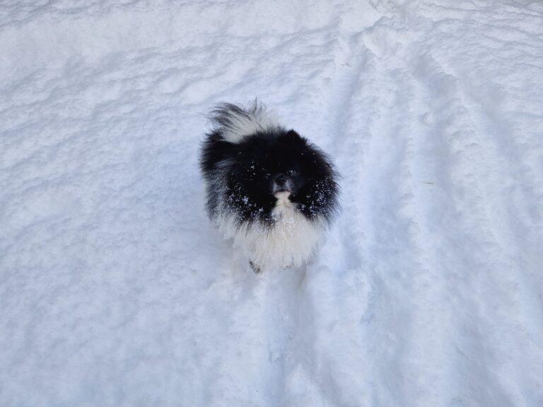 417410844 365097459602958 1846147940436796676 n