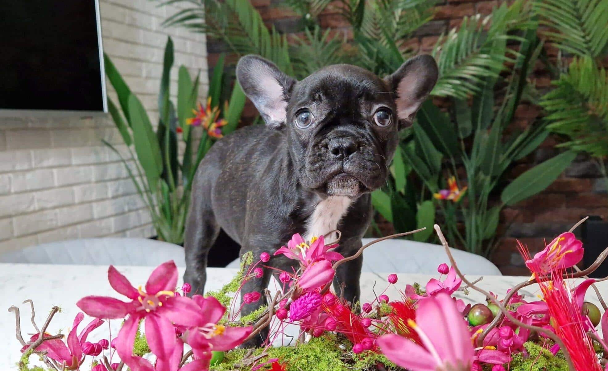 20240301 060755 029 saved scaled e1709282905477