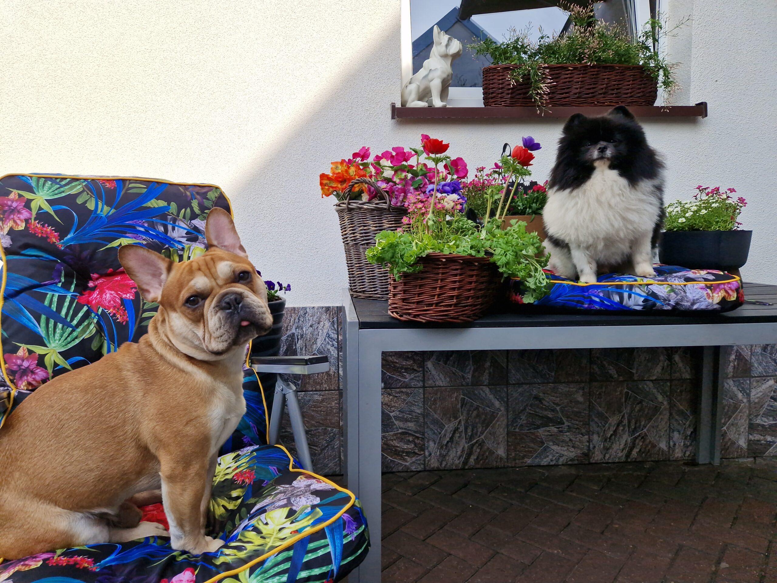 20240315 125349 006 saved scaled